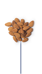 This Glucerna® high fibre meal plan includes a handful of almonds
