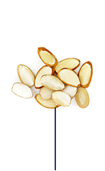 This Glucerna® high protein meal plan includes sliced almonds
