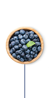This Glucerna® vegetarian meal plan includes blueberries