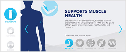 Human silhouette with caption reading: supports muscle health