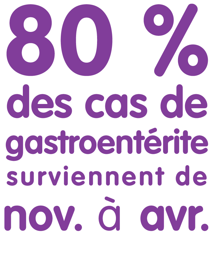 80 % des cas de gastroentérite surviennent de novembre à avril