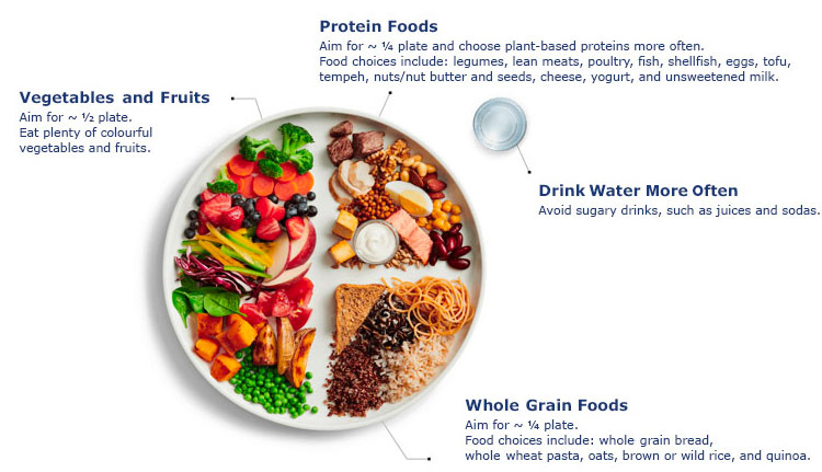 Food Guide Plate