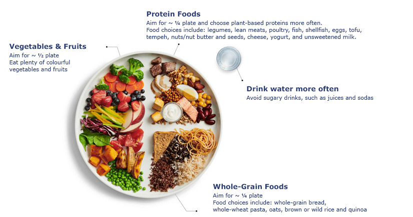 Food Guide Plate