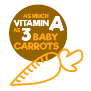 Food Icon Carrot