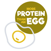 Food Icon Egg