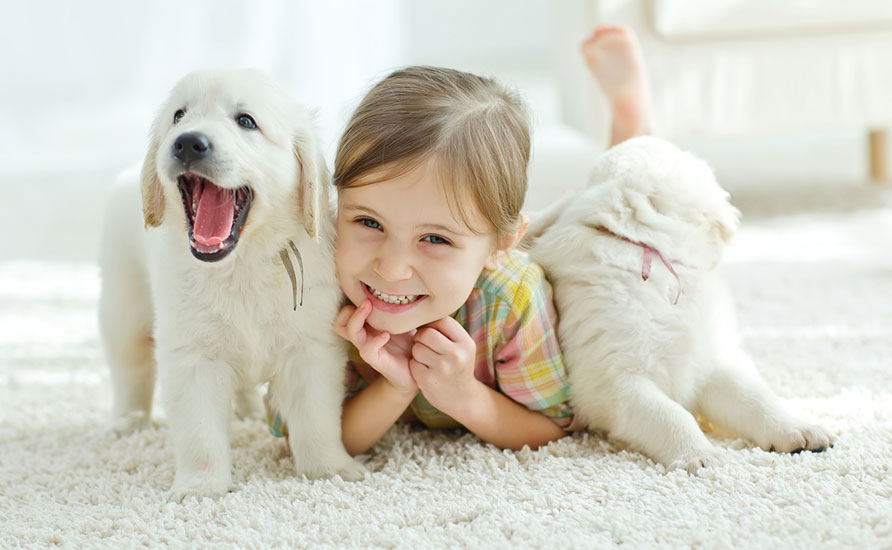 4 fun ways to teach your kids about animals