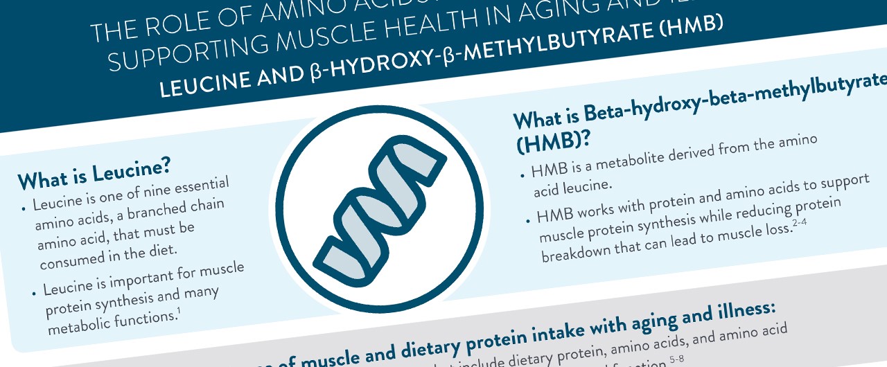 The Role of Leucine and Β-Hydroxy-Β-Methylbutyrate (HMB) Infographic.