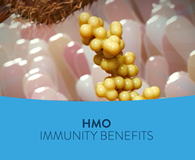 A slide introduces an animated short called HMO Immunity Benefits.