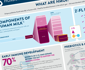 A preview of an ANHI infographic on Human Milk Oligosaccharides