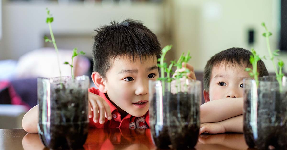 Two children are looking at plants that they are growing inside.