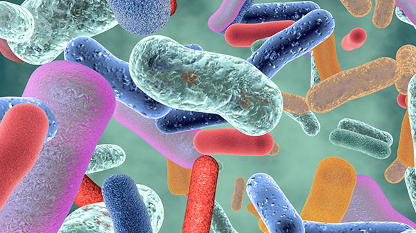 Prebiotics and the Microbiota