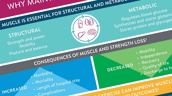 A partial image of ANHI’s Why Muscle Matters infographic