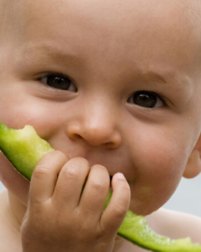 banner-child-eating-melon-sweden - Copy