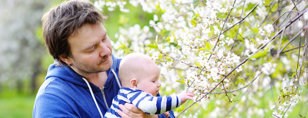 أب يحمل طفلًا يلمس أزهار الشّجرة