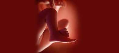 جنين في الرحم في الاسبوع التاسع عشر من الحمل