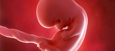 جنينك يتكوّن في الرحم في الأسبوع الثامن من الحمل