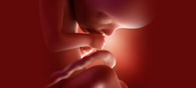 جنين في الرحم في الاسبوع الـ 22 من الحمل