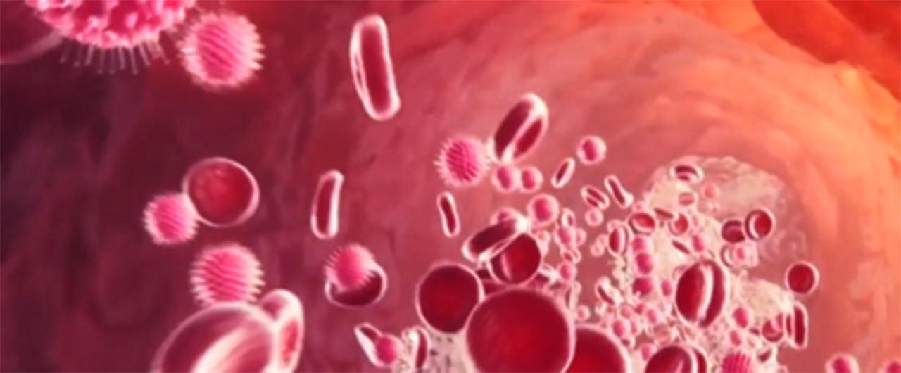 banner-image