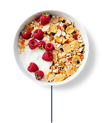 High fibre breakfast cereal with fresh raspberries on top