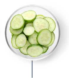 This Glucerna® heart healthy meal plan includes cucumber slices