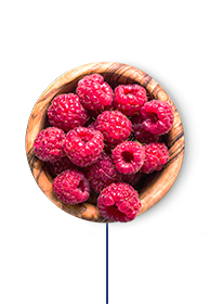 This high protein meal plan includes a 1/2 cup of raspberries 