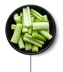 This Glucerna® high protein meal plan includes a celery stick snack