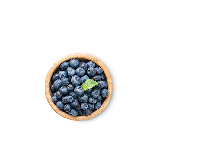 This Glucerna® vegetarian meal plan includes blueberries