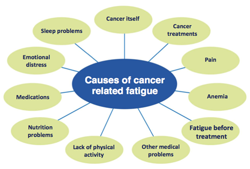 Causes of Cancer-Related Fatigue