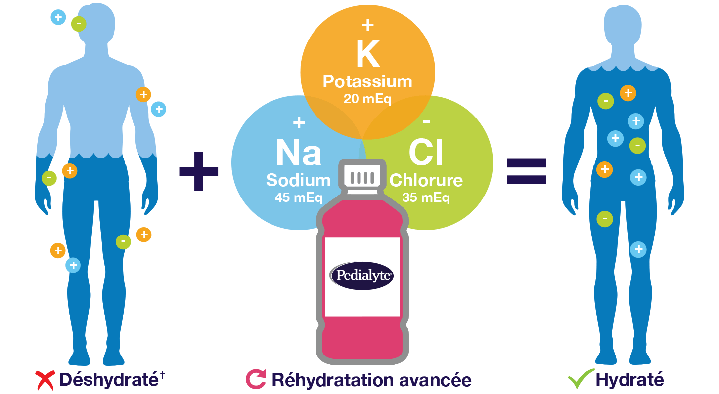 Pedialyte® contient ce qu'il faut de potassium, sodium et chlorure
