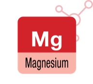 electrolytes-magnesium