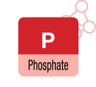 electrolytes-phosphate