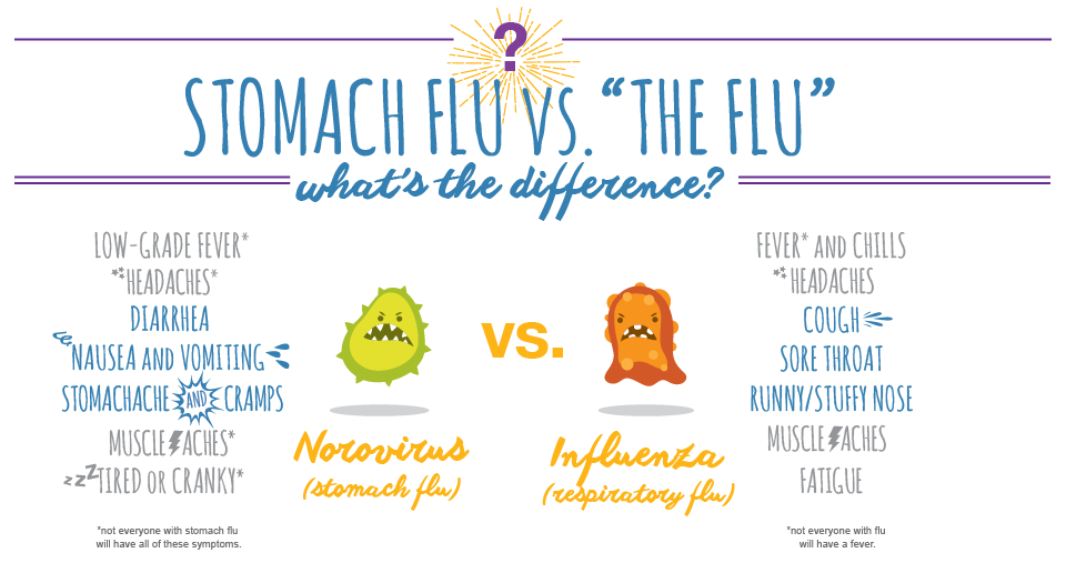 Stomach Flu 2024 Canada Ppt Tiena Gertruda