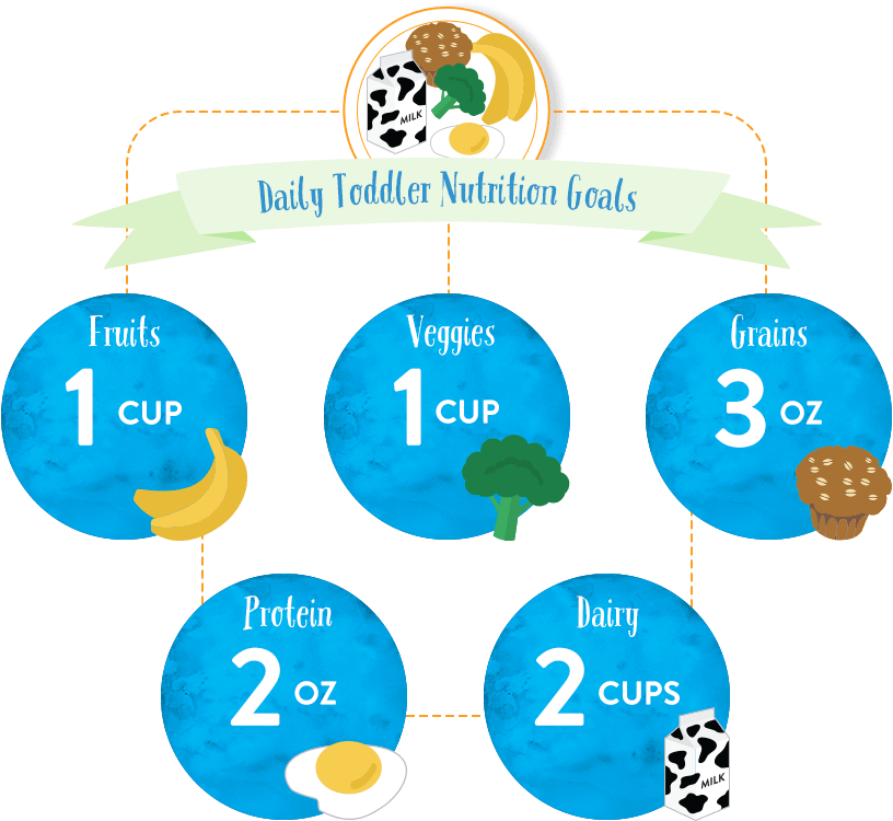 Infographic on daily nutrition food goals for 1-2 year-old kids