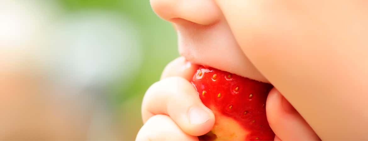 ילד אוכל תות שדה