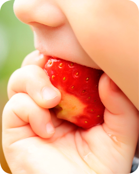 ילד אוכל תות שדה