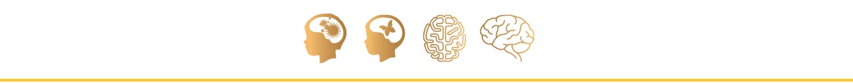 KSA similac-gold4 brains en