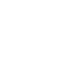 icon-white-shield