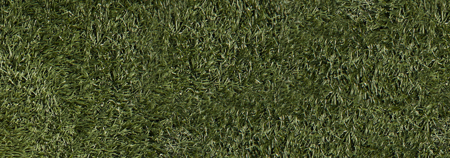 grass background with video player/thumbnail image